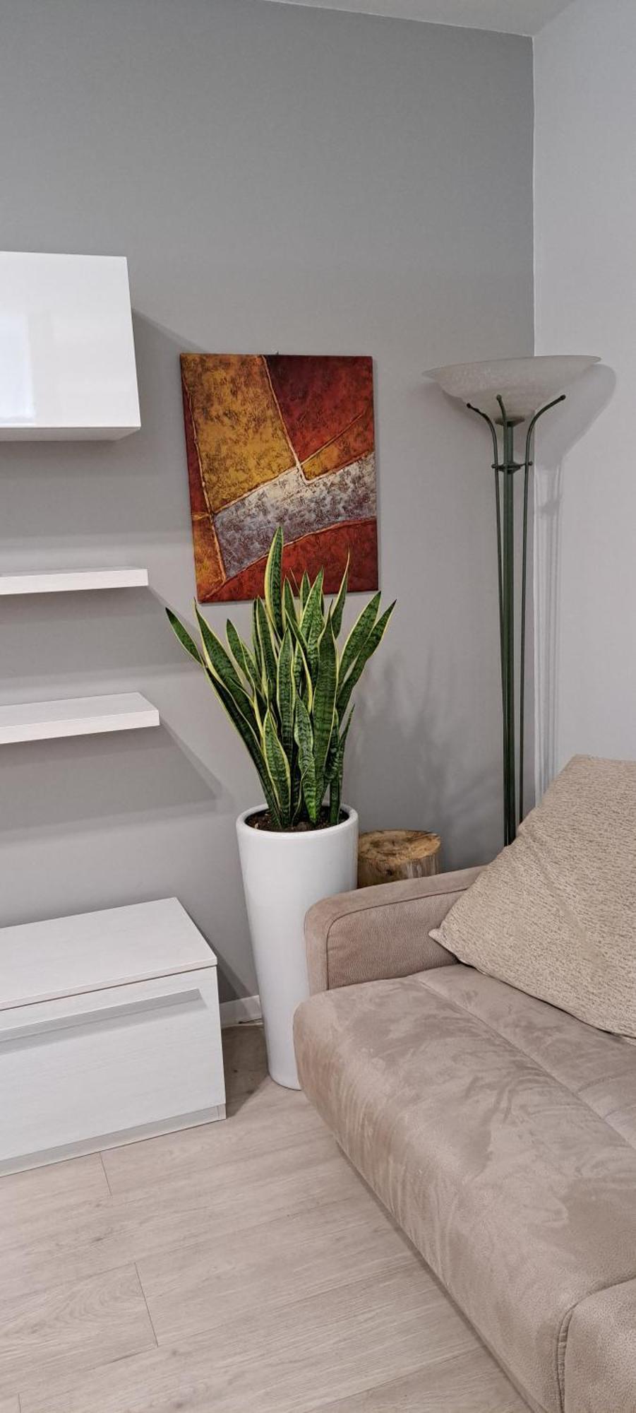 Marco Venice Apartment Zewnętrze zdjęcie